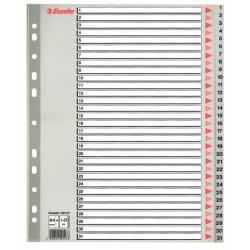 Plastov rozraova Esselte 1-31 maxi siv