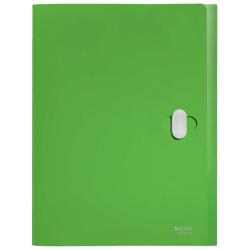 Box na spisy Leitz Recycle zelen