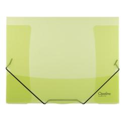 Plastov obal s gumikou Karton PP Opaline zelen