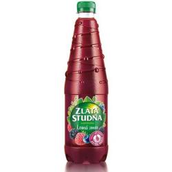 Sirup ZLAT STUDA s prchuou lesn zmes 0,7 l