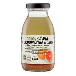 ZDRAVO ava 100% grapefruitov-jablkov 10x0,2l NEVRATN SKLO