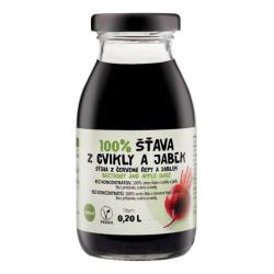 ZDRAVO ava 100% cviklovo-jablkov 10x0,2l NEVRATN SKLO