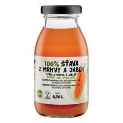 ZDRAVO ava 100% mrkvovo-jablkov 10x0,2l NEVRATN SKLO
