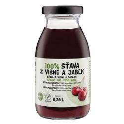 ZDRAVO ava 100% vinovo-jablkov 10 x 0,2 l NEVRATN SKLO