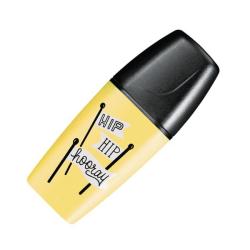 Zvrazova STABILO BOSS mini pastelov lt