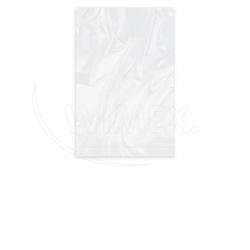 Vrecko ploch (LDPE) siln transparentn 20 x 30 cm [100 ks]